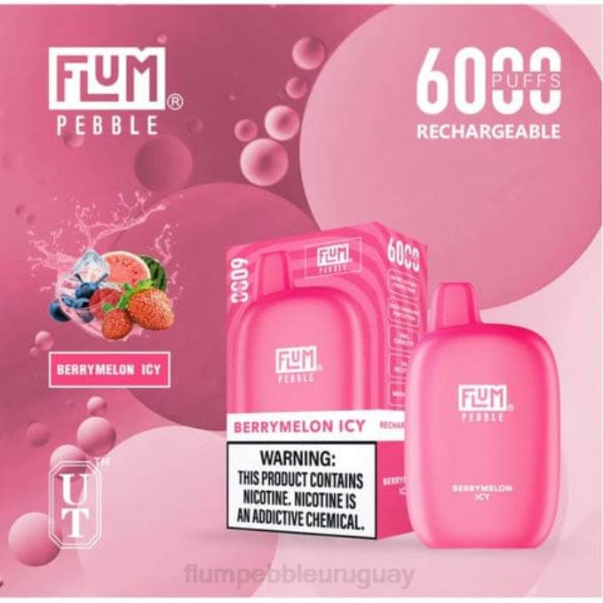 FLUM PEBBLES 6000 bocanadas melón helado 202R7 - Flum Pebble Vape Uruguay
