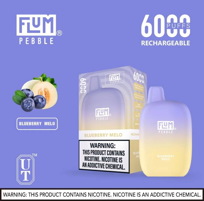 FLUM PEBBLES 6000 bocanadas melocotonero de arándanos 202R16 - Flum Pebble Montevideo