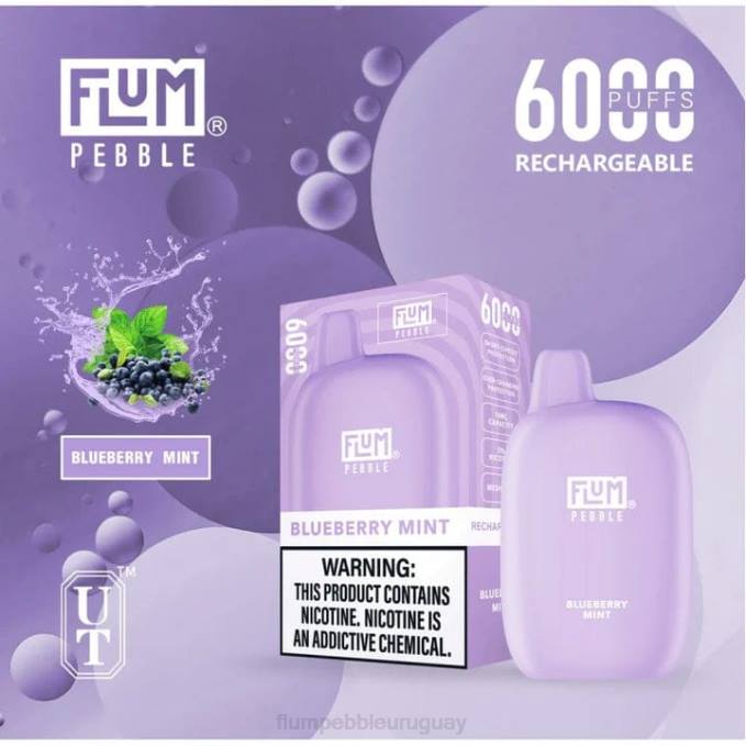FLUM PEBBLES 6000 bocanadas menta de arándanos 202R17 - Flum Pebble Vape Uruguay