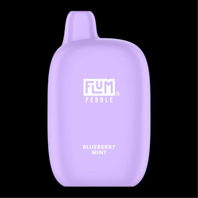 FLUM PEBBLES 6000 bocanadas menta de arándanos 202R17 - Flum Pebble Vape Uruguay