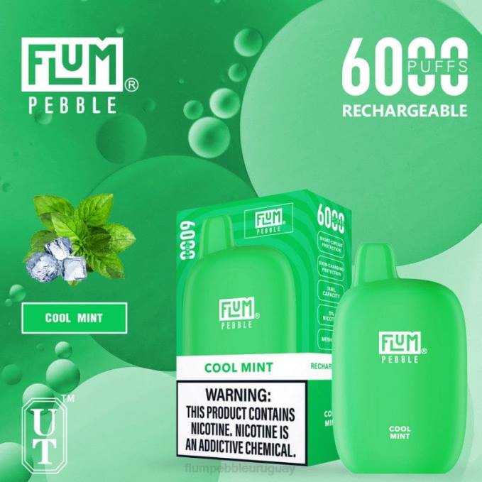 FLUM PEBBLES 6000 bocanadas menta fresca 202R24 - Flum Pebble Vape Price