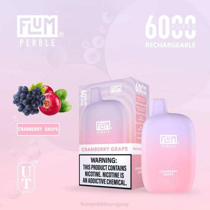 FLUM PEBBLES 6000 bocanadas uva de arándano 202R27 - Flum Pebble Vape Uruguay