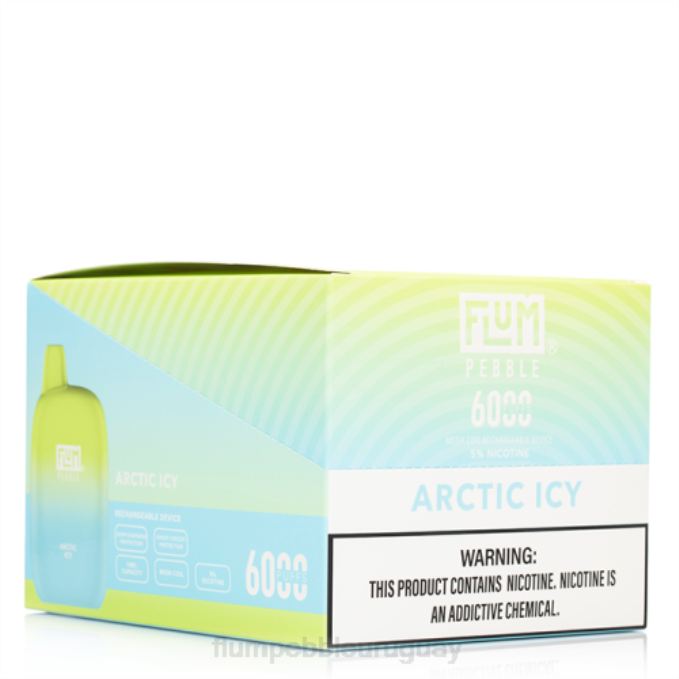 FLUM PEBBLES 6000 inhalaciones 10 paquetes helado ártico 202R6 - Flum Pebble Montevideo