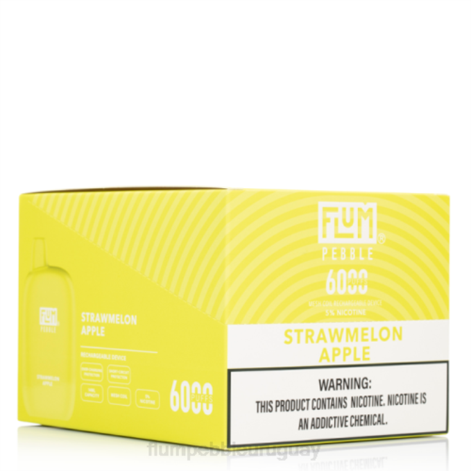 FLUM PEBBLES 6000 inhalaciones 10 paquetes manzana melón 202R79 - Flum Pebble Flavors