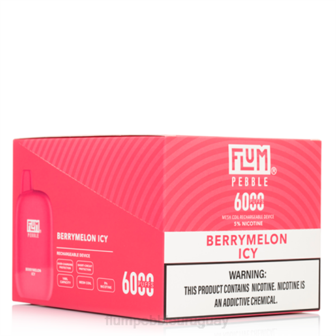 FLUM PEBBLES 6000 inhalaciones 10 paquetes melón helado 202R8 - Flum Pebble Precio