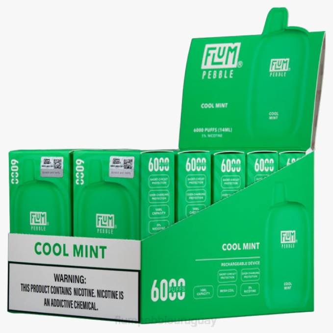 FLUM PEBBLES 6000 inhalaciones 10 paquetes menta fresca 202R26 - Flum Pebble Montevideo